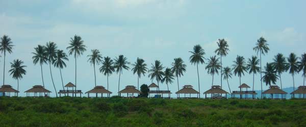 new stands at ream national park in cambodia sihanoukville