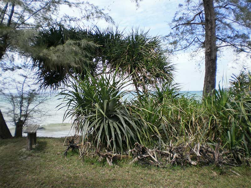 Otres Beach Pictures in Sihanoukville, Cambodia.