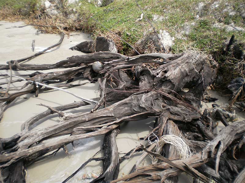 driftwood, otres beach, sihanoukville, cambodia