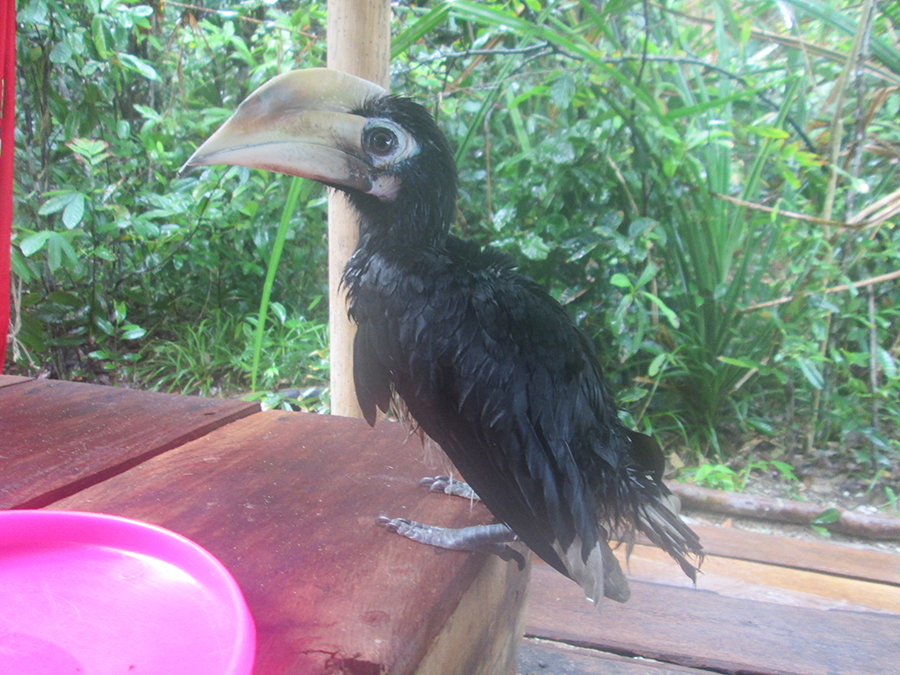 Ten 103 Treehouse Bay in Sihanoukville, Cambodia.