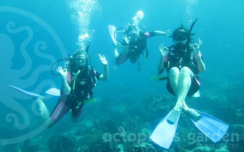 Octopuses Garden Diving Center in SihanoukVille, Cambodia.