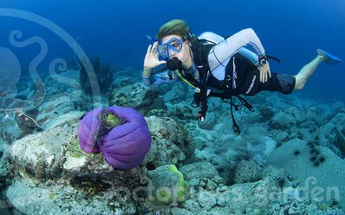 Octopuses Garden Diving Center in SihanoukVille, Cambodia.