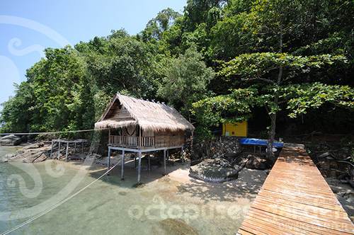 Octopuses Garden Diving Center in SihanoukVille, Cambodia.