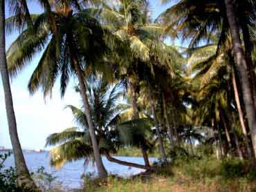 scuba diving in sihanoukville