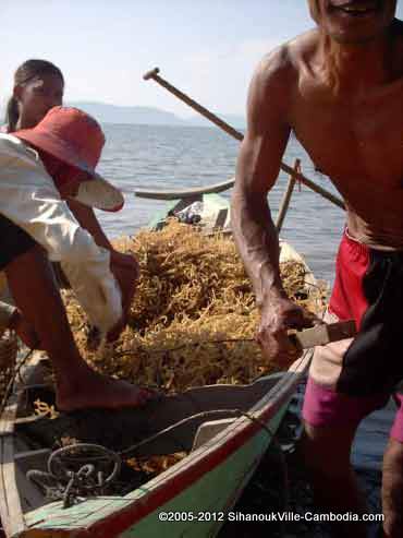 seafood in sihanoukville, cambodia